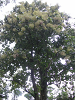 s_A_PICT0096_thumb.png